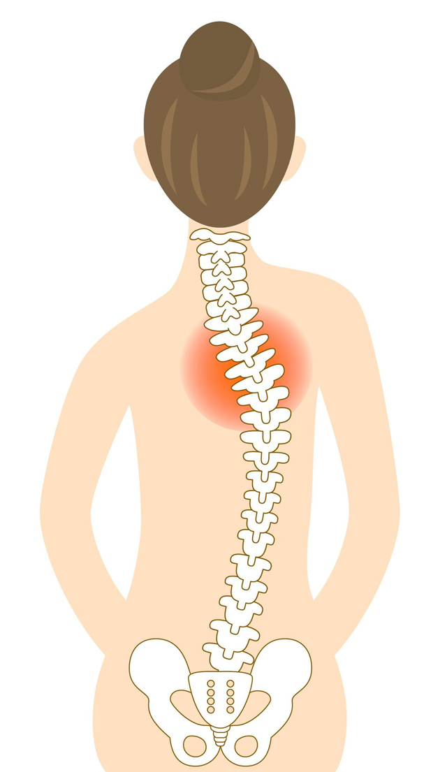 医療機関などで治療を受けてもなかなか改善しない肩こりは、体が歪んでいて背骨、骨盤、筋肉の張りがバランスを崩している事が考えられます